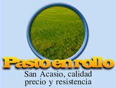 Pasto En Rollo, San Acasio