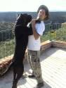 Fotos de Perros Finos