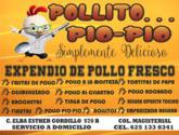 Fotos de Pollito Pio-Pio