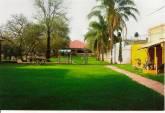 Quinta Dorada