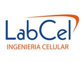 Fotos de Reparación De Celulares En Pachuca Labcel 01 (771) 71 54620