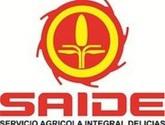 Fotos de Saide