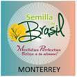 Fotos de Semilla Del Brasil Monterrey Medidas Perfectas