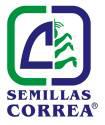 Fotos de Semillas Correa