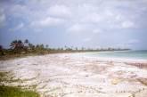 Terrenos En Mahahual