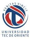 Universidad Tec De Oriente