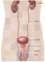 Fotos de Urologo Dr. Carlos Calderón Muñoz
