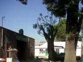 Fotos de Venta Y Renta De Terrenos