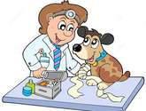 Fotos de Veterinaria