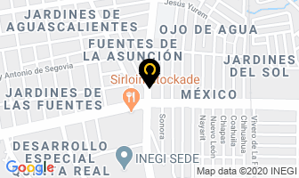 Mapa de Alineación De Tendones Teresa Álvarez en Aguascalientes