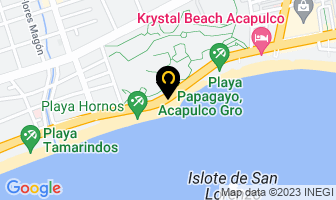Mapa de Concentracion Constructora Mexicana en Acapulco de Juárez