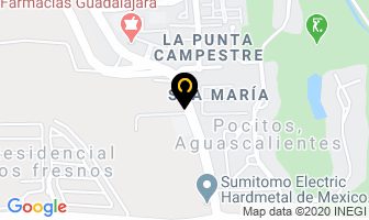 Mapa de Detallado Automotriz Campestre en Aguascalientes