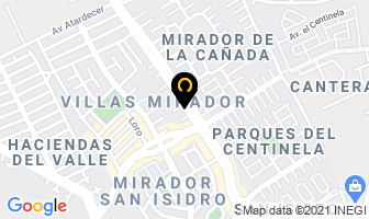 Mapa de Diseño Floral en Zapopan
