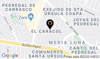 Mapa de Impresión Digital - Delegación Coyoacán en Ciudad de Mexico