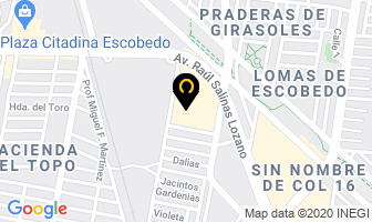 Mapa de Limon Zapaterias en General Escobedo