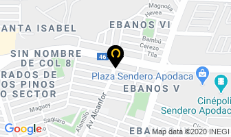 Mapa de Medicina Veterinaria en Apodaca