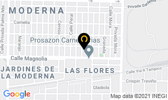 Mapa de Palomo Duran Mariano en Monterrey
