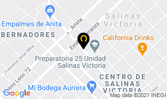 Mapa de Rex Industrial Sa De Cv en Salinas Victoria