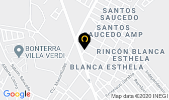 Mapa de Silvestre en Ramos Arizpe