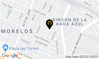Mapa de Techos Y Servicios Morales en Guadalajara