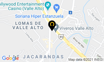 Mapa de Viveros Valle Alto en Monterrey