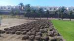 Fotos de Pasto En Rollo Rancho Aranda