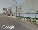 Foto exterior de Animal Friends Cebive Plantas Exoticas Net