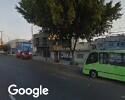 Foto exterior de Follaje Artificial colocaciones Martinez Cdmx