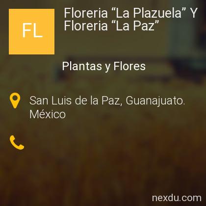 Floreria “La Plazuela” Y Floreria “La Paz” en San Luis de la Paz -  Teléfonos y Dirección