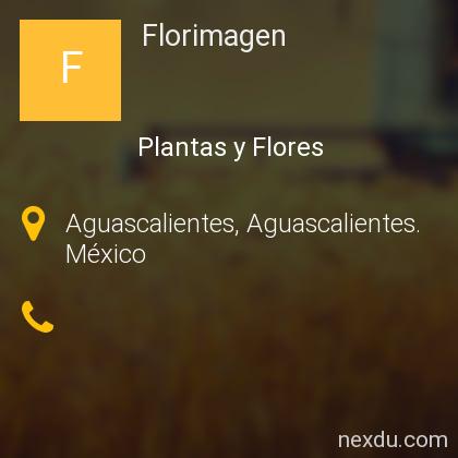 Florimagen en El Plateado, Aguascalientes - Teléfonos y Dirección