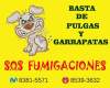 Fotos de Fumigación S.o.s
