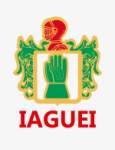 Iaguei S.a