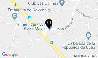 Mapa de Disisa en Managua