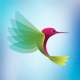 Fotos de Panama Wellness Group