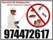 Fotos de Servicio De Fumigacion  En Trujillo. Olvidate De Los Parasitos