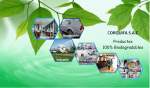 Fotos de Corporacion Quimica Fajardo S.a.c.