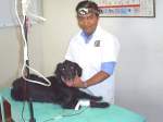 Fotos de &Quot;Tier&Quot; Especialidades Veterinarias