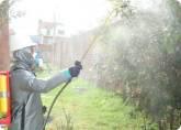 Fotos de Cano´s Exterminating