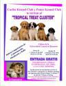 Fotos de Caribe Kennel Club