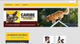 Fotos de Caribe Security K9 Academy