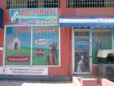 Dog House