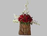 Fotos de Floristería Celebraciones Samaliz