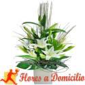 Fotos de Floristería Ebenezer En Canóvanas
