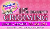 Fotos de Pet Shop Paradise Bird & Pets