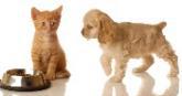 Fotos de Pets Natural Place, Llc