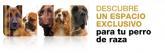 Fotos de Royal Canin