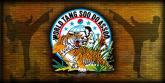 Fotos de Shin Tang Soo Do Dominguito