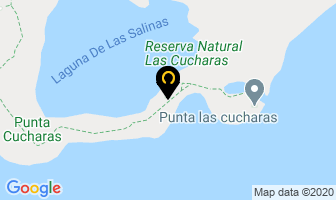 Mapa de Pito`s Seafood CafÉ & Restaurant en Ponce