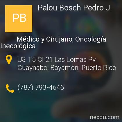 Palou Bosch Pedro J en Guaynabo Tel fonos y Direcci n