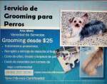Fotos de Tony Grooming
